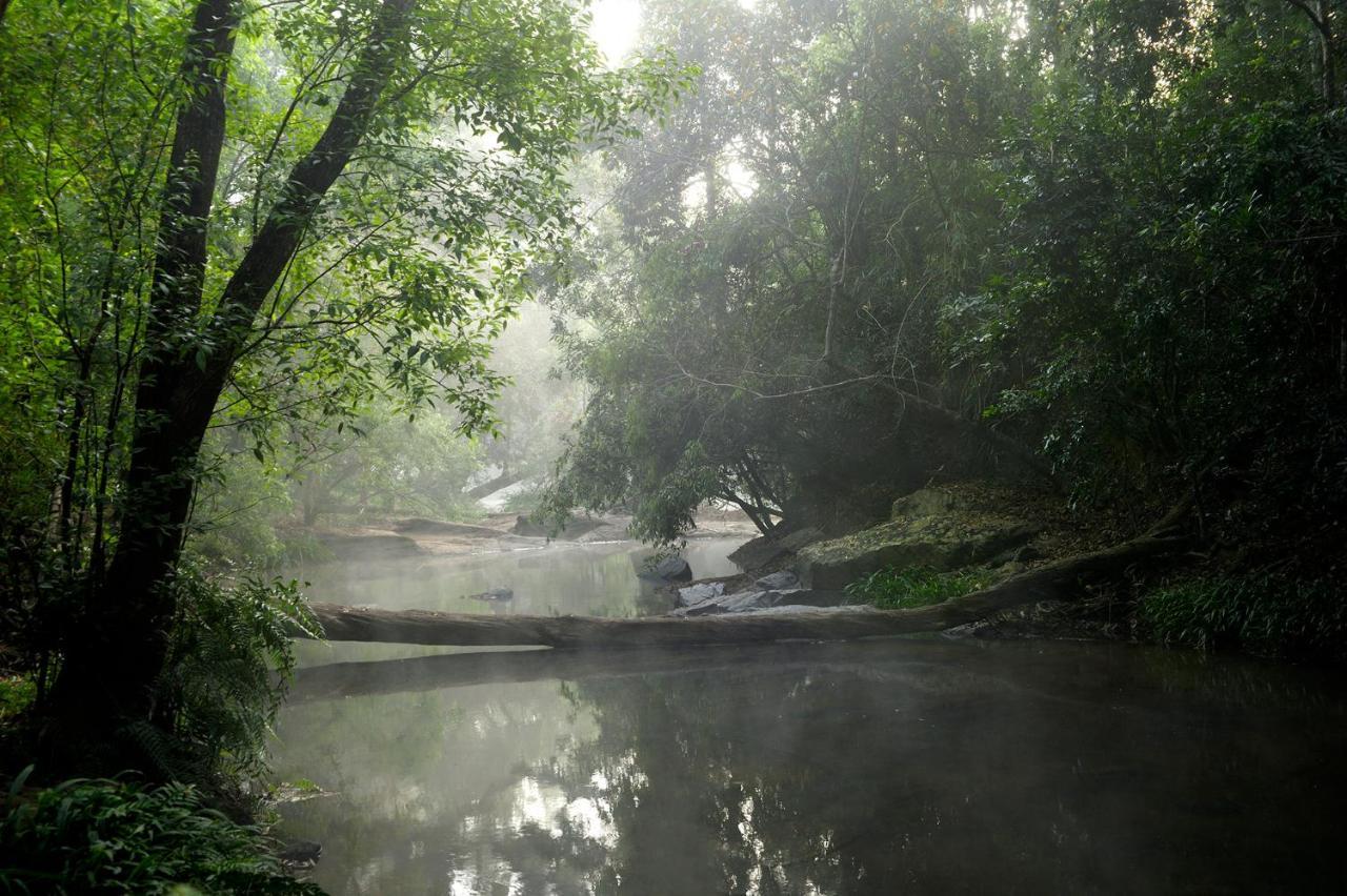 アマンヴァナ スパ リゾート クールグ Kushālnagar エクステリア 写真